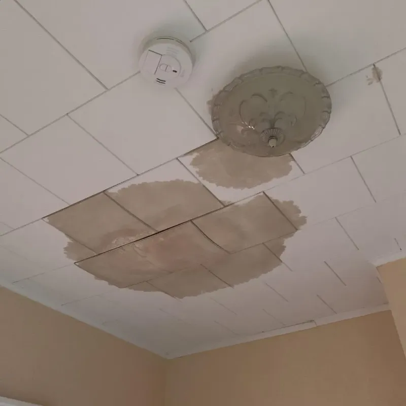 Ceiling Water Damage Repair in Rutherford County, TN