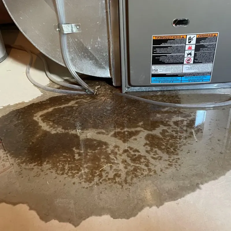 Pipe Burst and Leak Restoration in Rutherford County, TN